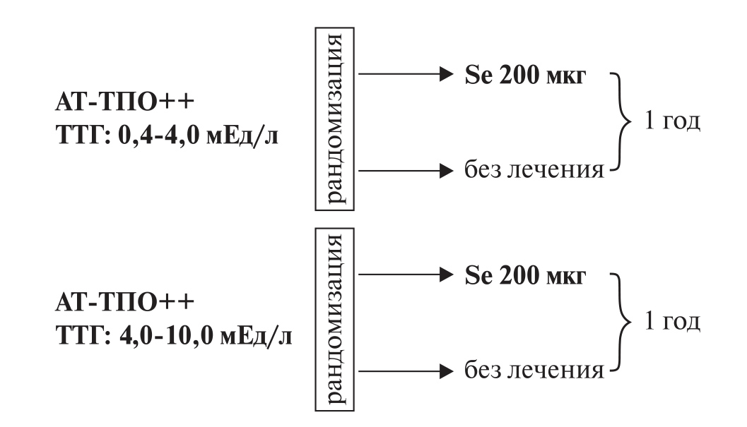 Селен при гипотиреозе