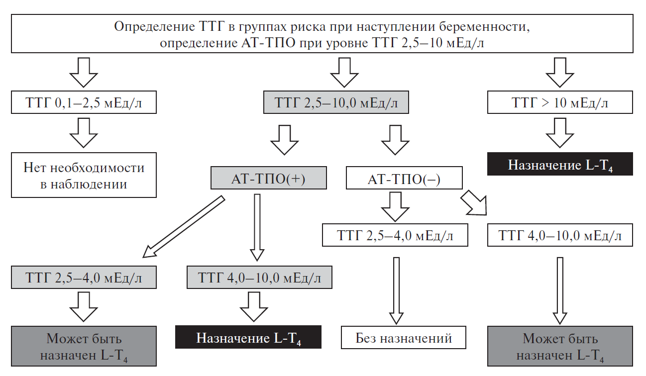 Гипотиреоз тесты с ответами