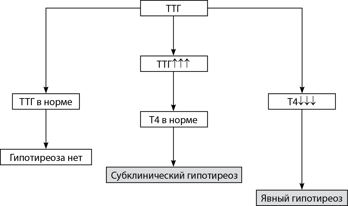 Изображение на обложке